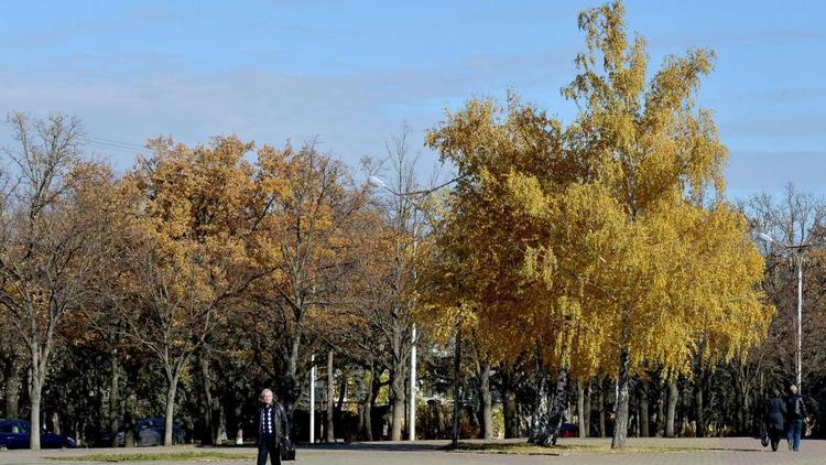 Похолодание на Ставрополье прогнозируют с середины ноября