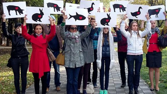 В Ставрополе защитники животных призвали людей не убивать братьев меньших