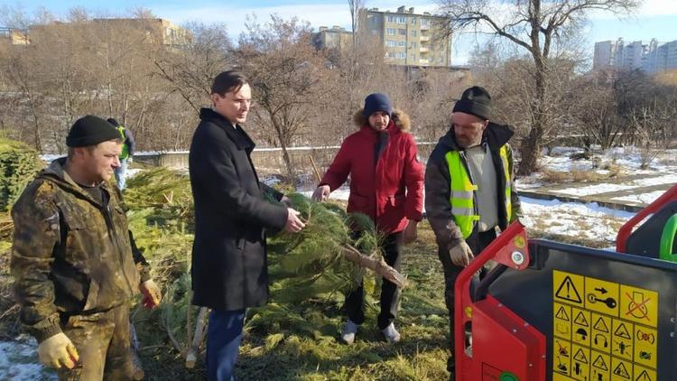 В Кисловодске переработали две тонны новогодних елок
