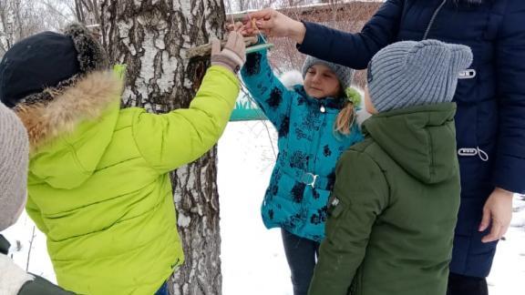 Воспитанники детских садов на Ставрополье смастерили кормушки для птиц