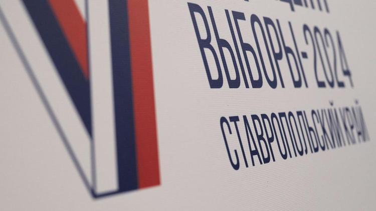 Зампредседателя Думы Ставрополья: Электоральная активность людей растёт