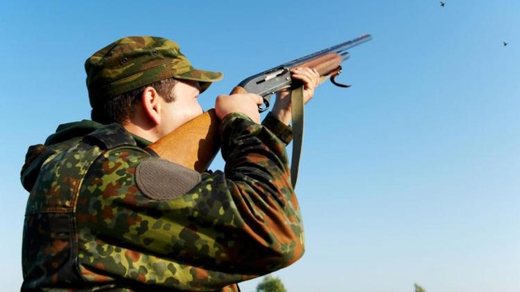 На Ставрополье охотникам выдают лицензии на фазана и пушных животных