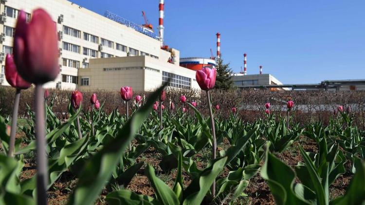 Ростовская АЭС: 30 атомщиков пополнили Южный регистр доноров костного мозга