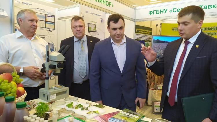 Россельхозцентр Ставрополья вошел в пятёрку лучших по России
