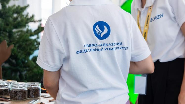 Экспозиция СКФУ вызвала фурор на фестивале молодого искусства в Крыму
