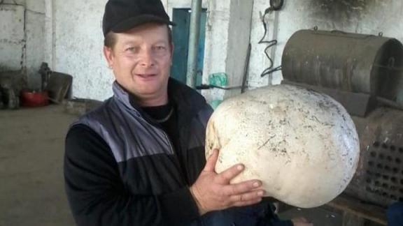 На Ставрополье мужчина нашёл гриб-дождевик весом 8 килограммов