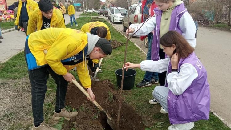 Активисты «Единой России» высадили деревья в память о героях войны
