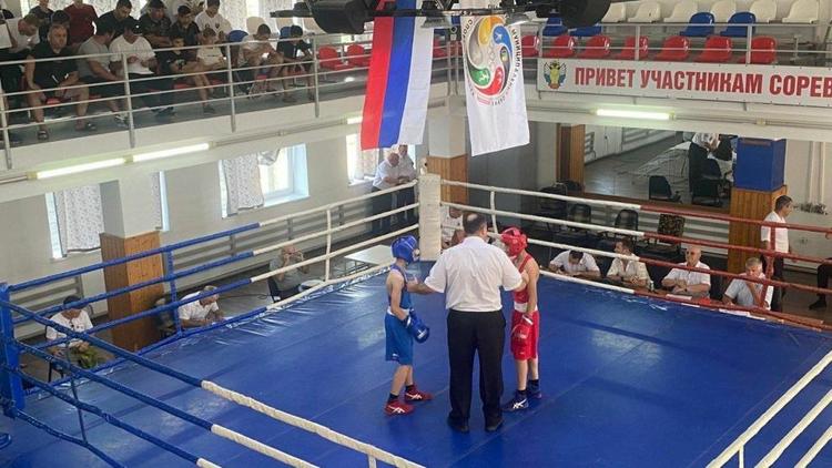 В Предгорном округе Ставрополья стартовал Международный чемпионат по боксу
