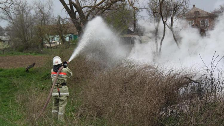 Пожарные спасли от возгорания лесополосу и дом в селе Ростовановка
