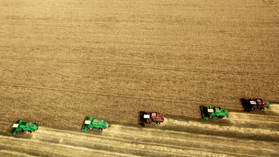 7,5 млн тонн зерна – валовой сбор с 97 % всего клина на Ставрополье