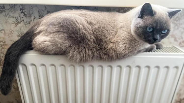 В минЖКХ Ставропольского края разъяснили, какой должна быть температура в квартире