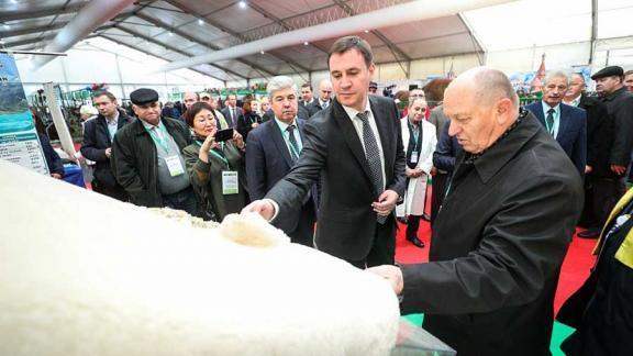 Министр сельского хозяйства РФ оценил достижения овцеводов Ставрополья