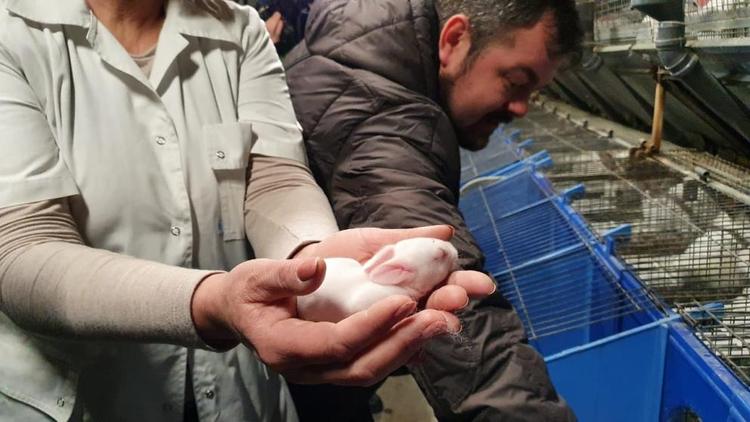 Ставропольское предприятие по разведению кроликов отличилось на международной выставке
