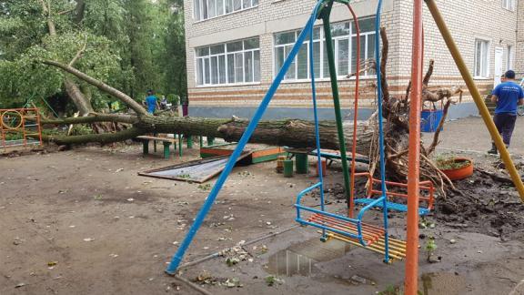 Спасатели расчистили детский сад от обрушившихся деревьев в селе Левокумском
