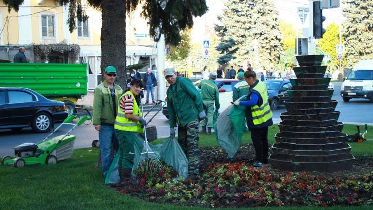 К 75-летию Победы в Ставрополе распустятся почти 150 тысяч тюльпанов