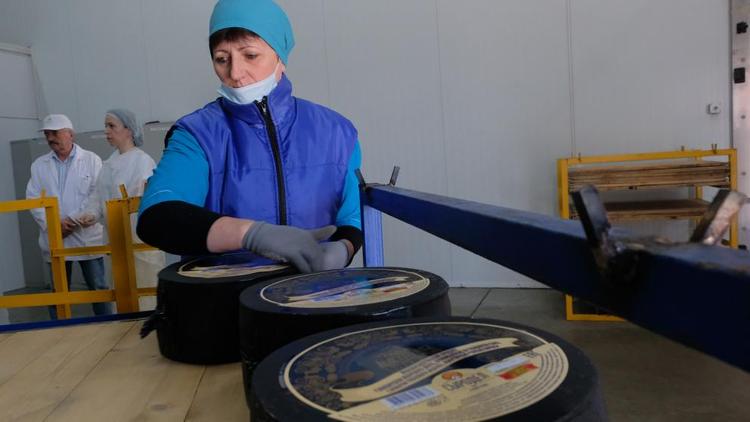 На Ставрополье приходится 99 процентов всего мороженого и сыра в СКФО