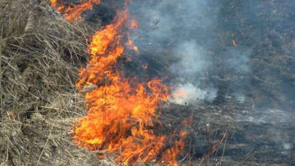 Пожарные за выходные потушили более 240 возгораний на Ставрополье