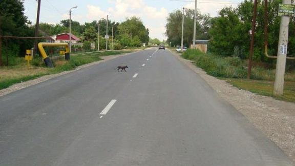 В посёлке Новокумском Левокумского района отремонтировали две дороги