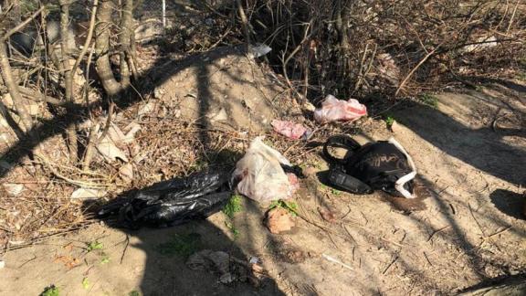 На тропинке в ставропольском посёлке Иноземцево нашли тело младенца