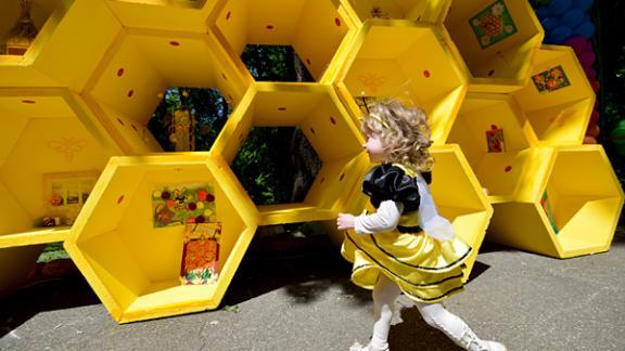 «Стену защиты пчел» из детских поделок построили в Ставрополе