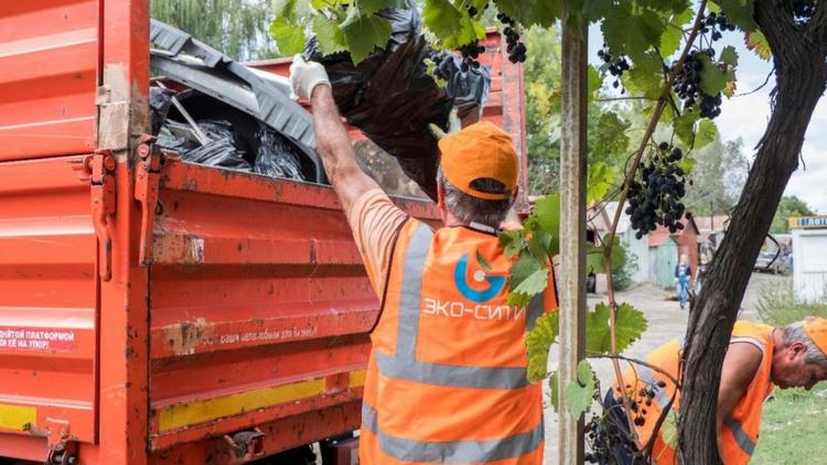 Участники Чистых игр собрали 4 тонны мусора в Мамайском лесу Ставрополя