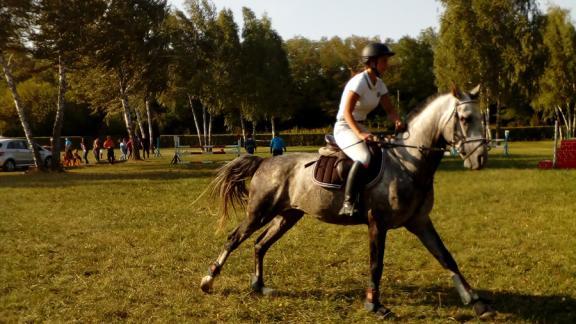 В день 240-летия Ставрополя в парке Победы соревновались конники на Кубок мэра города