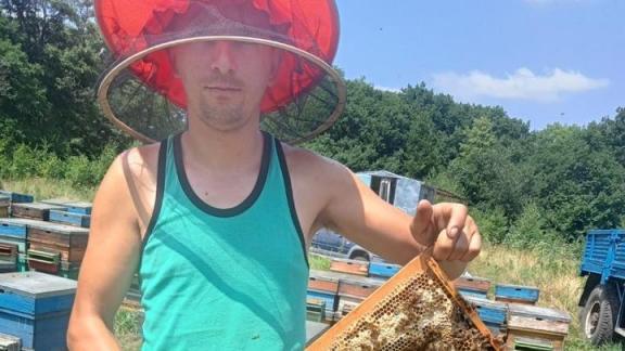 На Ставрополье начала работу новая пчелиная ферма