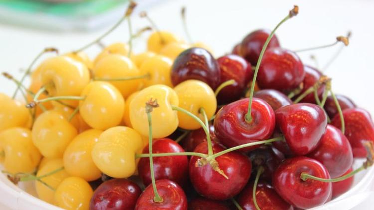 Плодово-ягодный сезон на Ставрополье набирает темпы