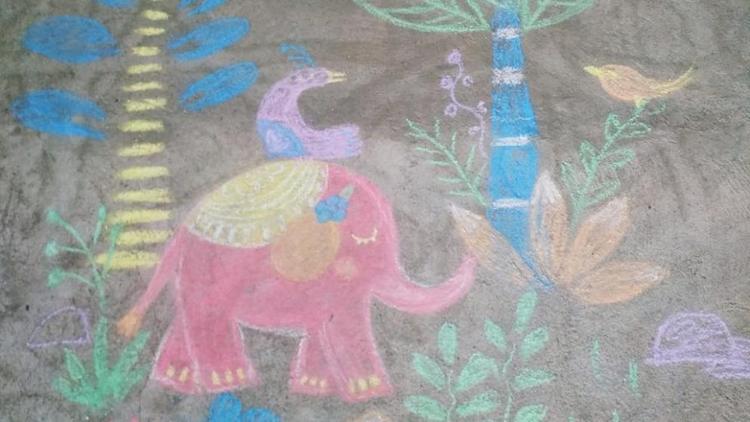 Ставропольцам предлагают нарисовать южного слона на асфальте
