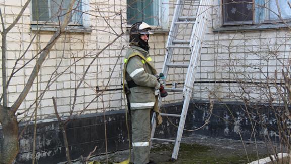 Спасатели сняли с высокой ёлки 9-летнюю школьницу в поселке Краснозоринском
