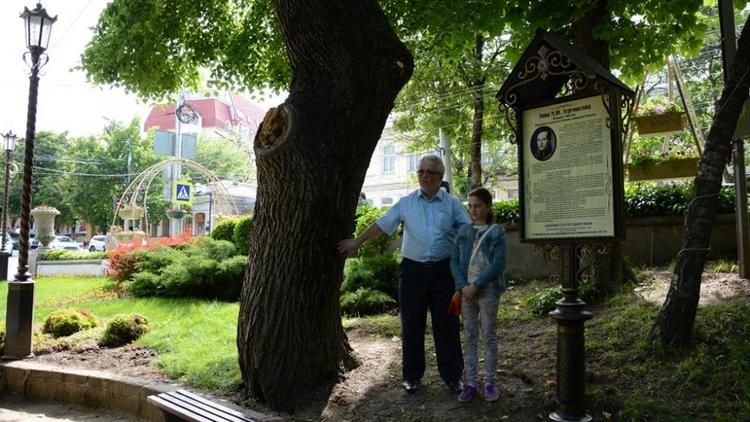 37 деревьев в Ставрополе назовут именами известных личностей