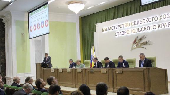 АПК Ставрополья перестраивает свою работу в условиях санкций