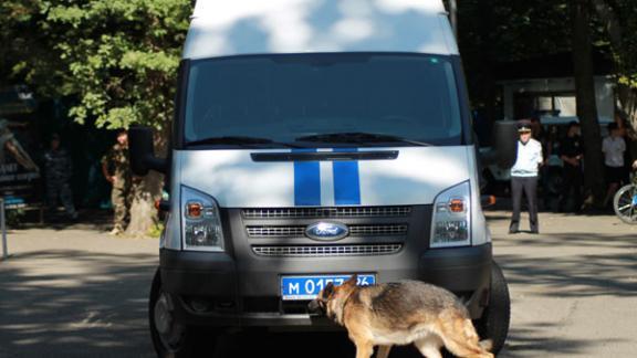 Служебная собака Рафаэлла помогла найти пропавшего первоклассника на Ставрополье