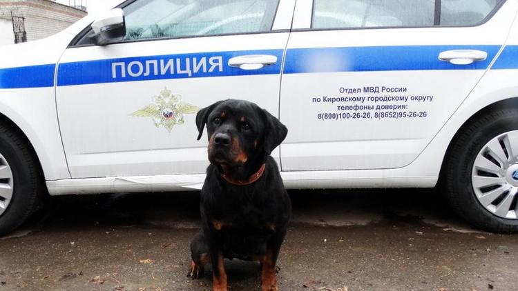 На Ставрополье служебная собака помогла раскрыть уличное ограбление