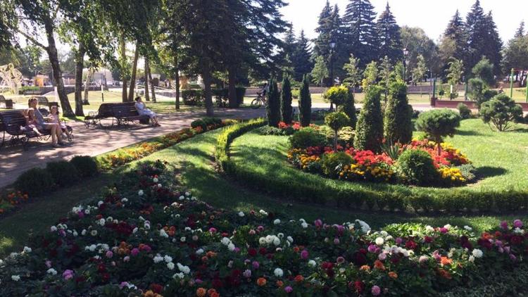 Цветники и скверы Ставрополя преображают к Дню города