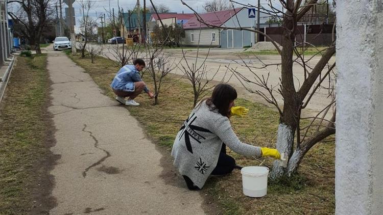 В Буденовском округе Ставрополья высажено 2 тысячи кубометров цветников
