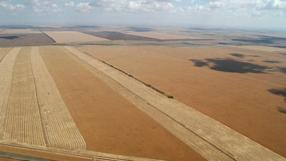 Российский зерновой союз обсудил засуху, цены на зерно и его реализацию