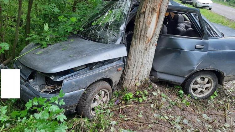 На Ставрополье из-за столкновения с деревом водитель и пассажир попали в больницу