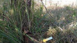 В Андроповском районе коммунальщики нашли снаряд времён Великой Отечественной