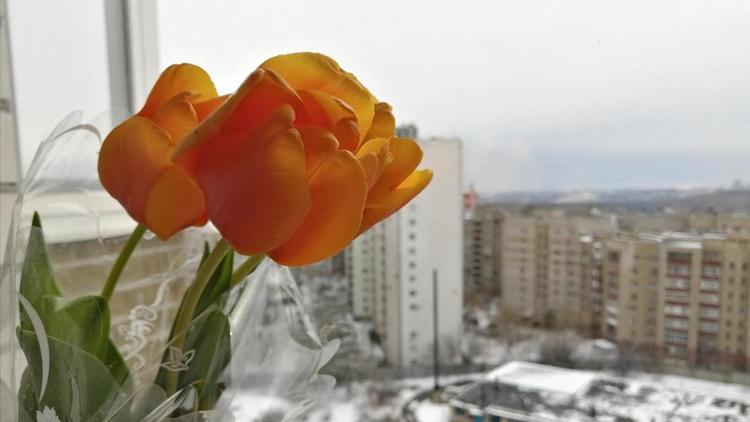 На Ставрополье 9 и 10 марта сохранится снежная погода