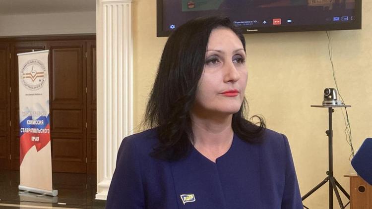 Партия ЛДПР представила 151 кандидата для участия в выборах на Ставрополье