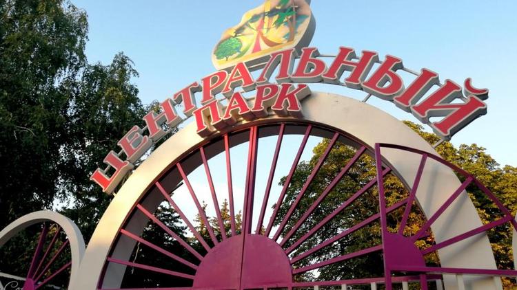 В Центральном парке Ставрополя реконструируют фонтан «Лягушка»