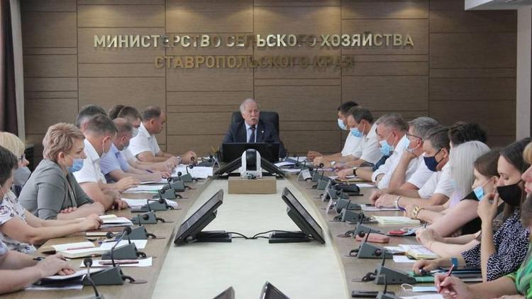 На Ставрополье прошло первое заседание уборочного штаба