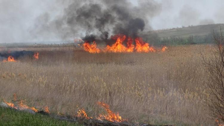На Ставрополье огнеборцы более 20 раз тушили ландшафтные пожары