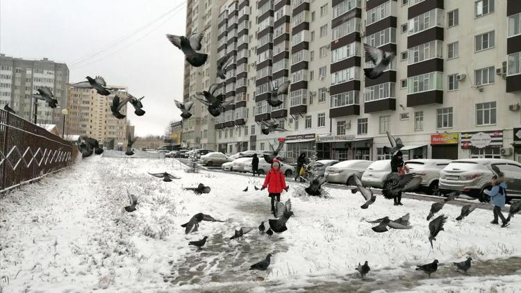 В Ставрополе коммунальщики переведены на круглосуточный режим работы