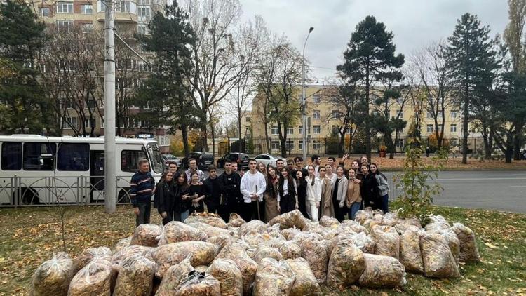 В Ставрополе собрали 36 кубометров мусора и листвы
