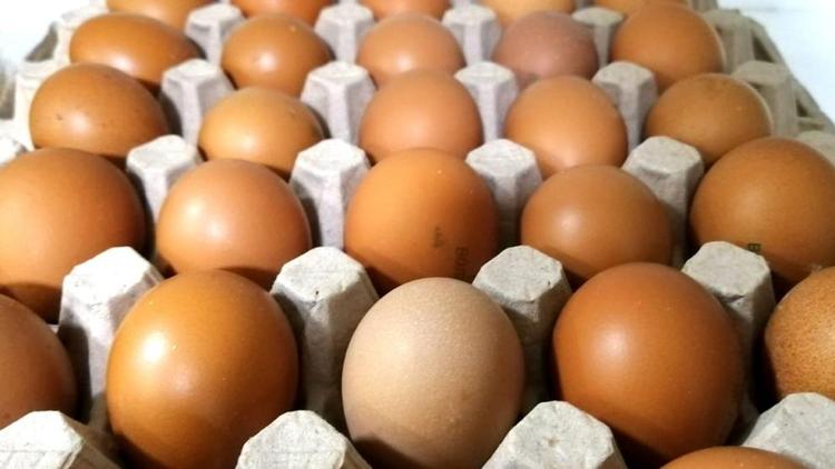 Представители минэка и прокуратура Ставрополья проверят цены на куриные яйца