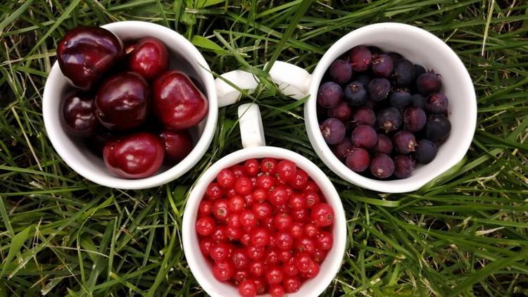 Ставропольские специалисты рассказали, на что обратить внимание при покупке ягод
