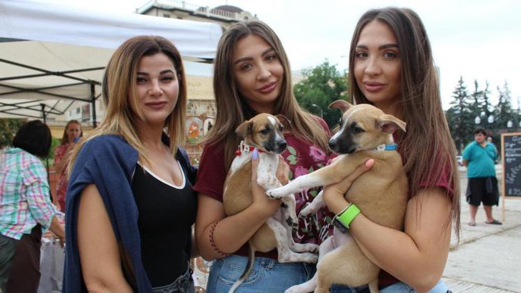 В Кисловодске нашли любящие семьи три десятка приютских собак и кошек