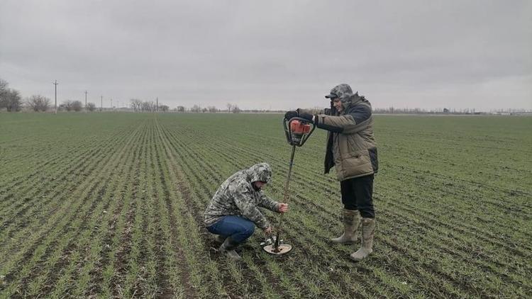 В Кочубеевском округе Ставрополья запасы влаги в почве способствовали развитию озимых